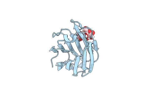 7XXV image