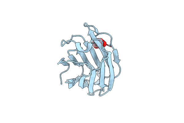 7XXW image