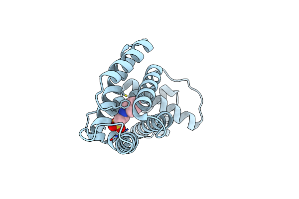 7XY5 image