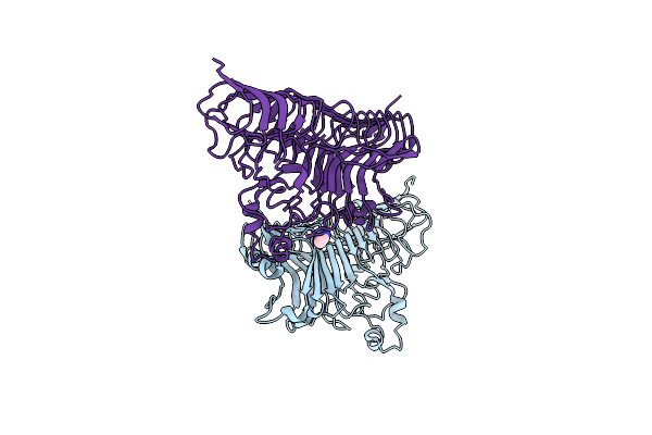 7XZD image