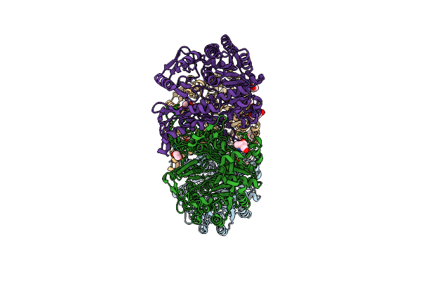 7XZN image