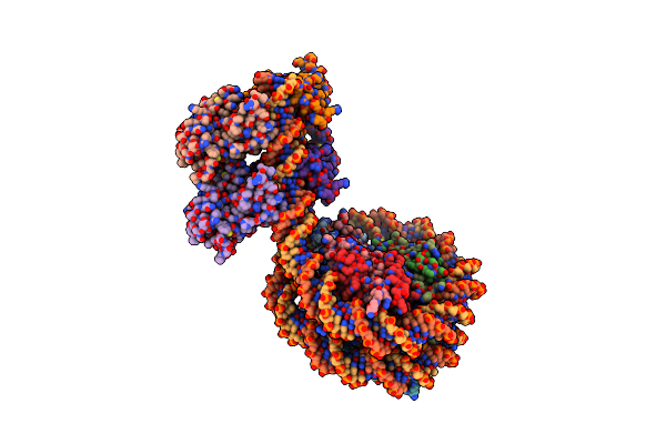 7XZZ image