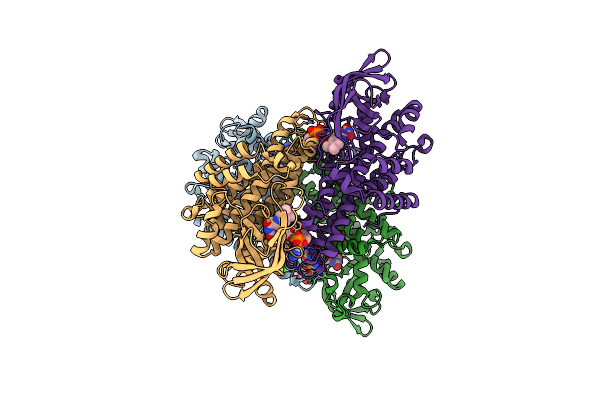 7Y0B image