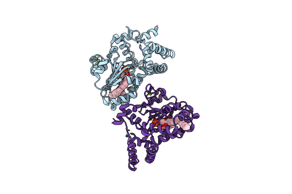 7Y11 image