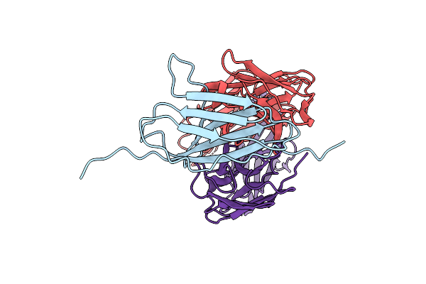7Y1B image