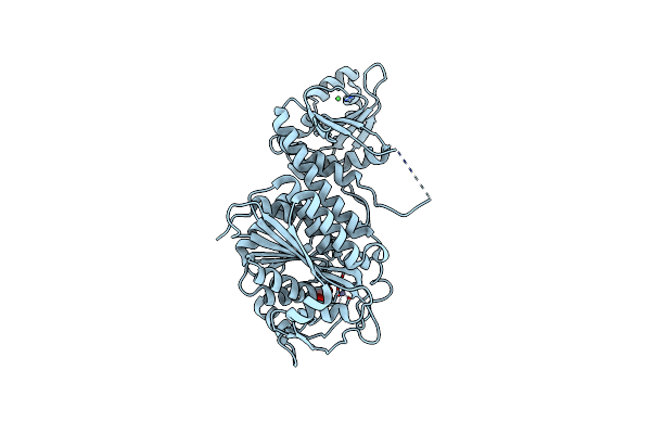7Y1S image