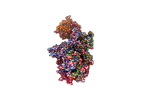 7Y20 image