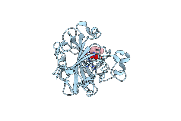 7Y2E image