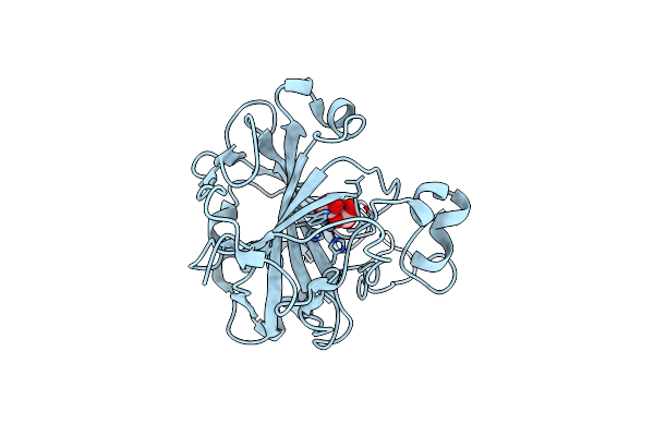 7Y2G image