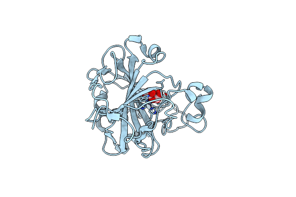 7Y2H image
