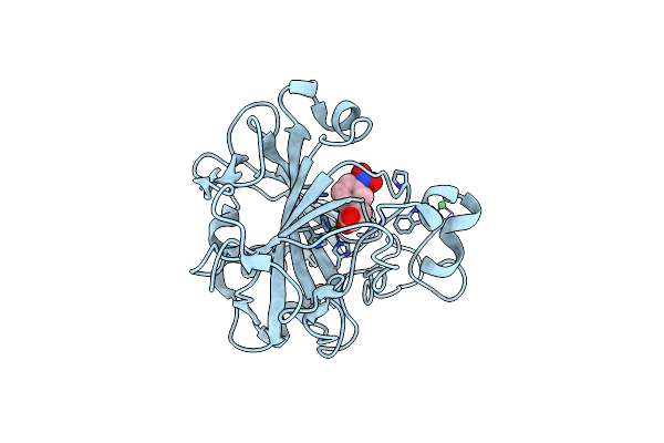 7Y2R image