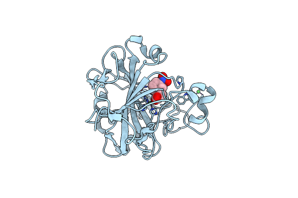 7Y2V image