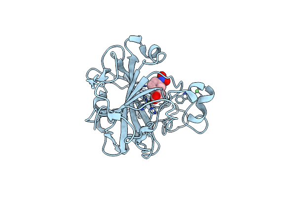 7Y2W image