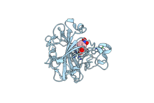 7Y2X image