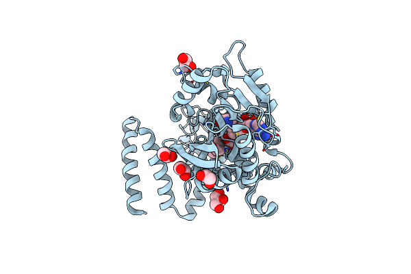 7Y3H image