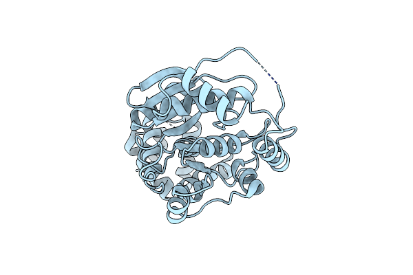 7Y3P image
