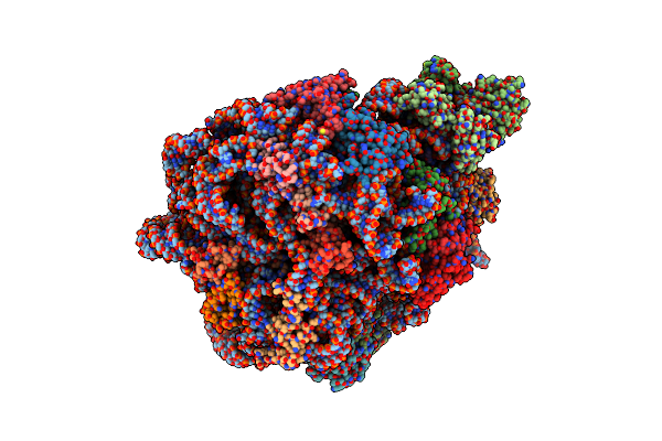 7Y41 image