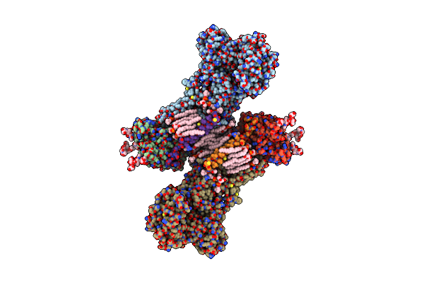 7Y45 image