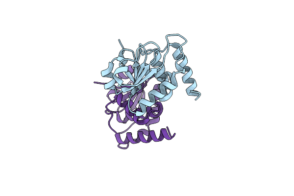 7Y4B image