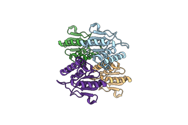 7Y4C image