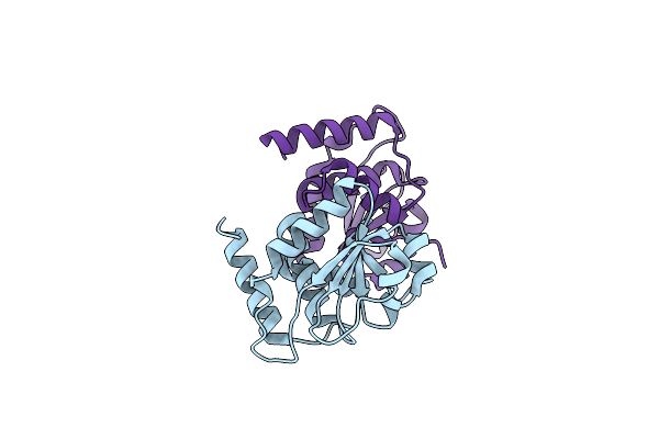 7Y4D image