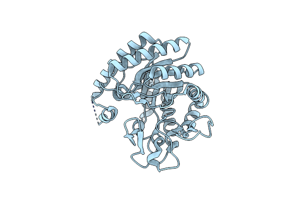 7Y4H image