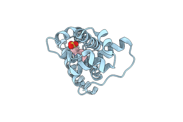 7Y4J image