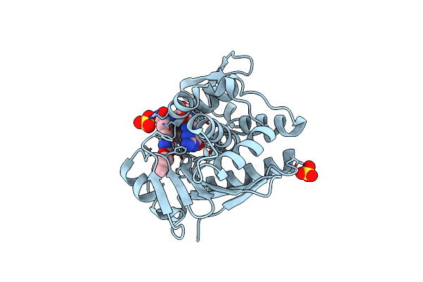 7Y4M image