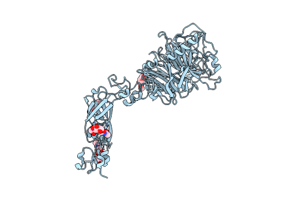 7Y4P image