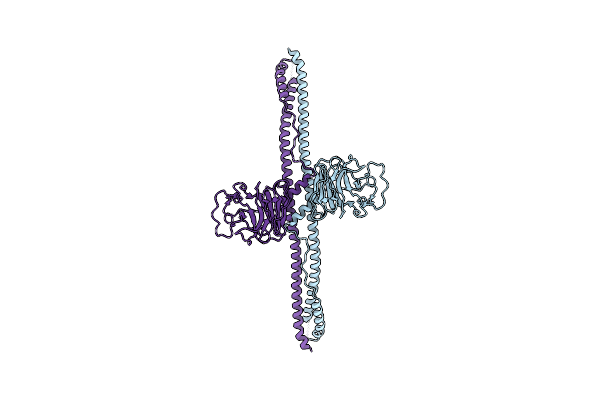 7Y4S image