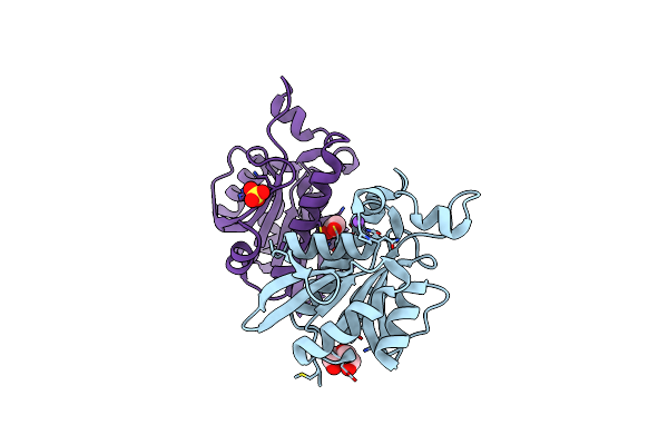 7Y52 image