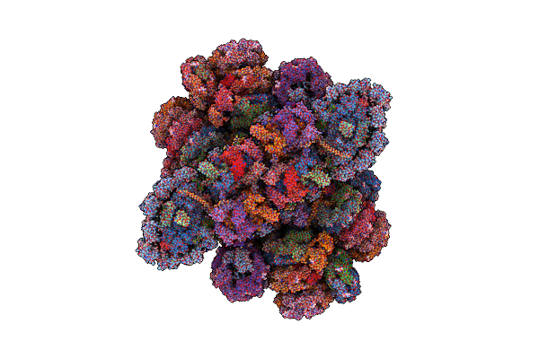 7Y5E image