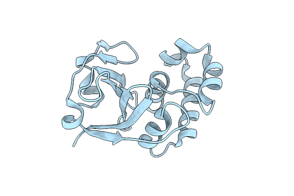 7Y5M image