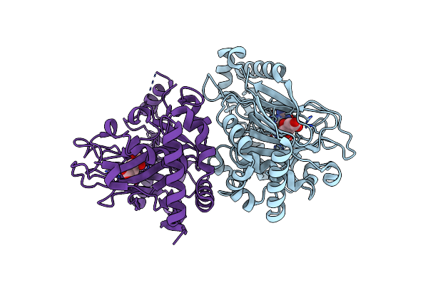 7Y5P image
