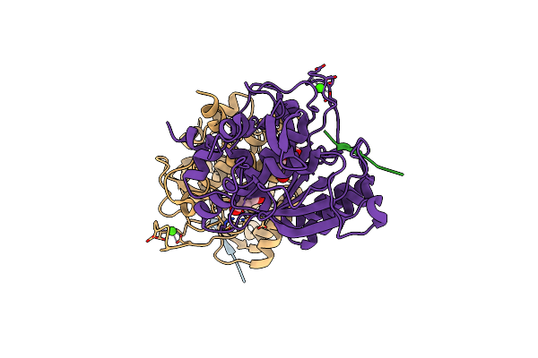 7Y6M image