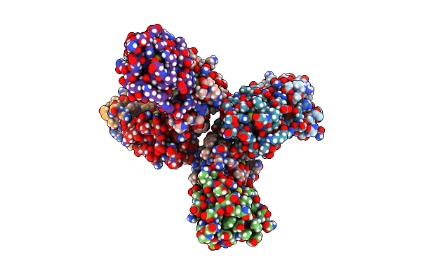 7Y6X image