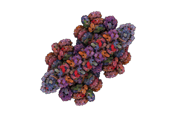 7Y7A image