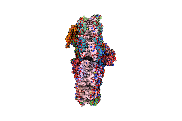 7Y7B image