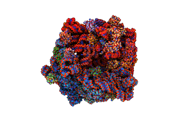 7Y7C image