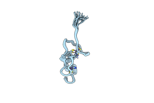 7Y7L image