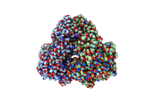7Y7P image