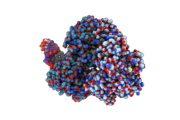 7Y7R image