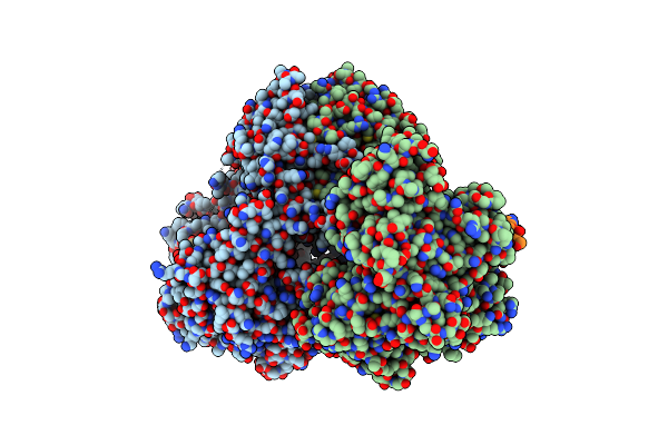 7Y7S image