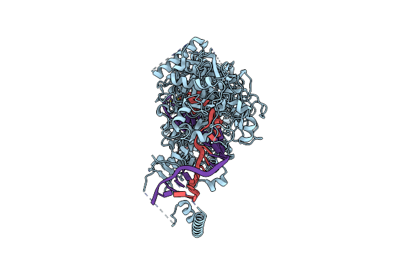 7Y82 image