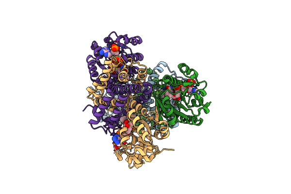7Y8M image