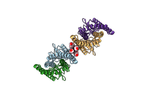 7Y9B image