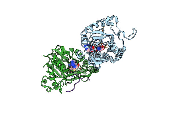 7Y9C image