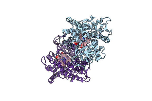 7Y9M image