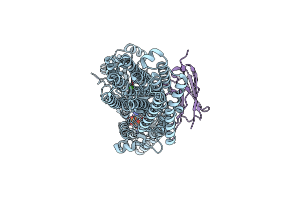 7YAI image