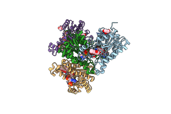 7YB2 image